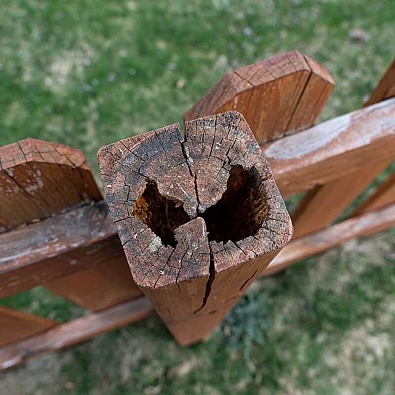 the owner of the damaged wooden fence in this photo will be wanting to learn to repair a wooden fence so will be desperately searching for how to repair a wooden fence or how to fix a broken fence