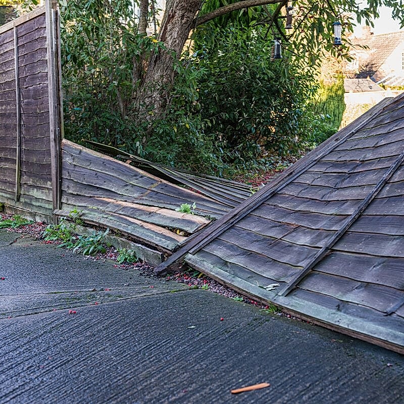 the owner of the damaged wooden fence in this photo will be wanting to learn to repair a wooden fence so will be desperately searching for how to repair a wooden fence or how to fix a broken fence