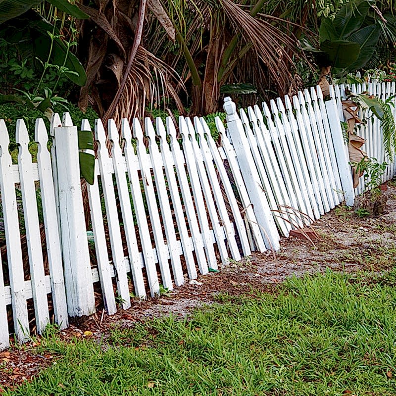 a photo showing a fence exhibiting hail damage, fence hail damage and hail damage to a wooden fence