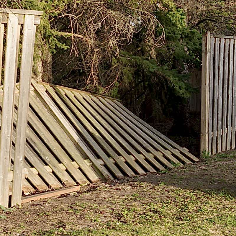 the owner of the damaged wooden fence in this photo will be wanting to learn to repair a wooden fence so will be desperately searching for how to repair a wooden fence or how to fix a broken fence