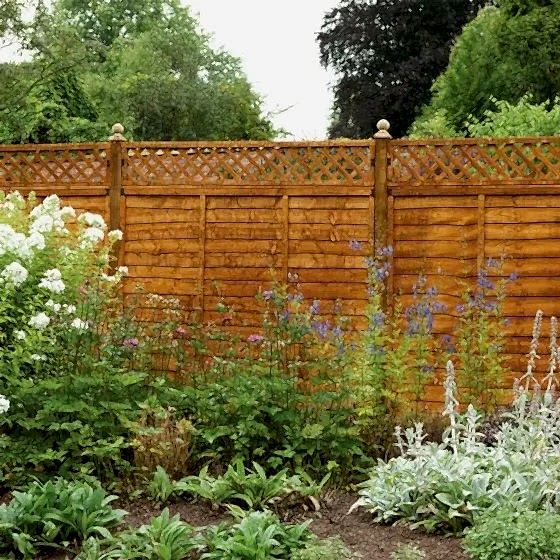 Forest 6' x 1' Diamond Lattice Trellis Fence Topper