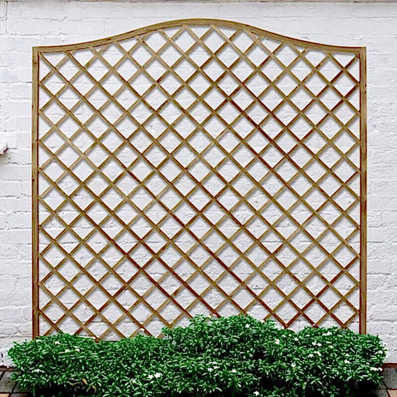 This image shows one of our allotment fence ideas which include allotment fence and allotment fencing