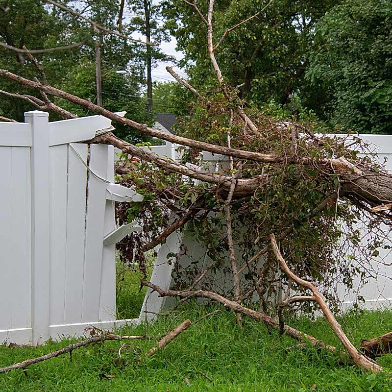 the owner of the damaged white wooden fence in this photo will be wanting to learn to repair a wooden fence so will be desperately searching for how to repair a wooden fence or how to fix a broken fence