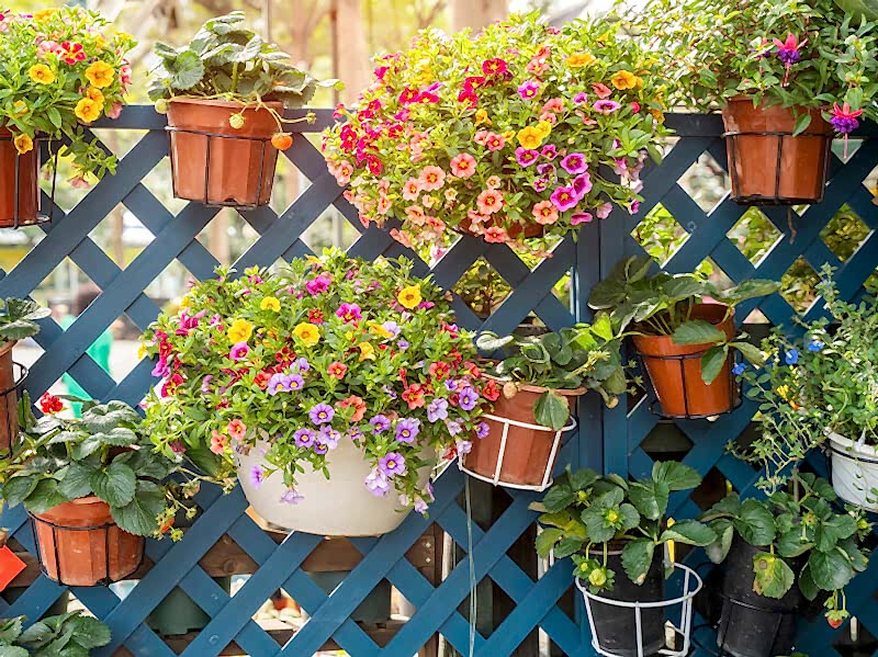 this photo shows one of our outdoor fencing ideas which include patio fencing ideas and fences for yards