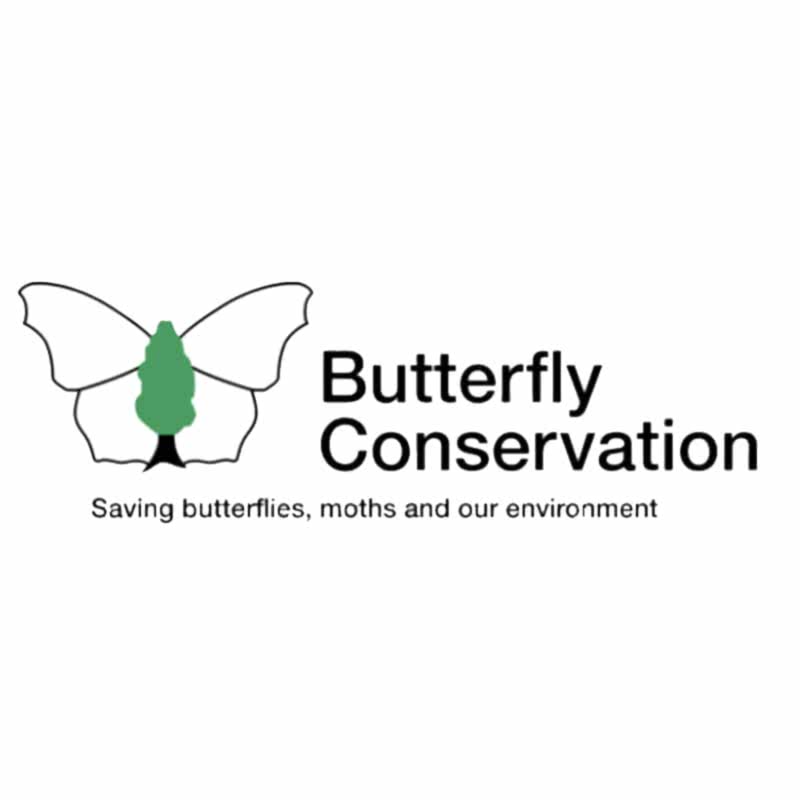 Butterfly Conservation approve of you using a decorative fencing panel that could be considered wildlife fencing, fencing for wildlife or wildlife-friendly fencing