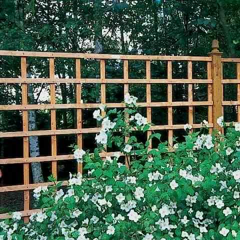 a photo showing a fencing run with some wonderful fence landscaping from our list of simple fence line landscaping ideas including the best plants for fence lines