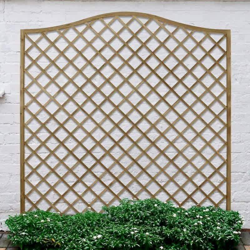 a photo showing a fencing run with some wonderful fence landscaping from our list of simple fence line landscaping ideas including the best plants for fence lines