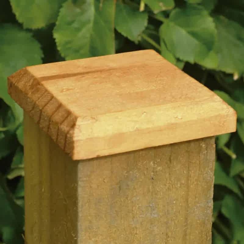 use these fence post caps to prevent fence post rot
