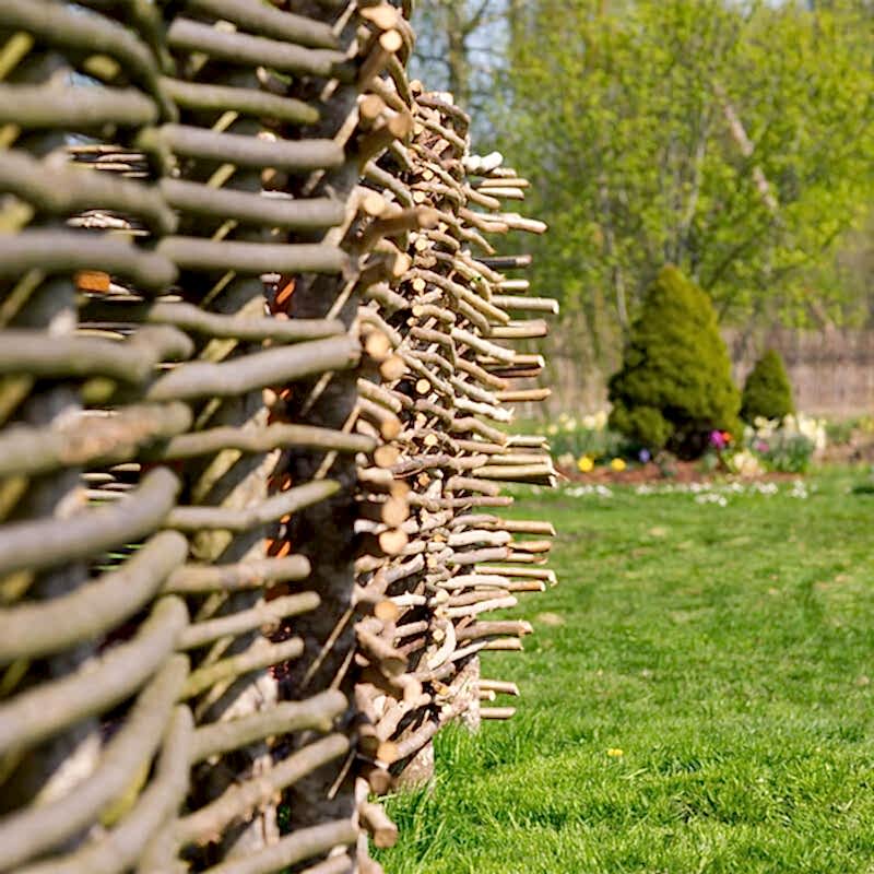 a photo showing a living willow fence that could be considered wildlife fencing, fencing for wildlife or wildlife-friendly fencing