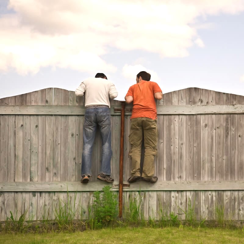 discuss with your neighbour questions such as which fence is mine, which side of the fence is mine, how do I know which fence is mine, how do I find out which fence is mine and which boundary fence is mine