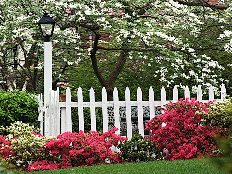 this image shows one of our decorative garden fence ideas from our list of decorative fencing ideas including outdoor fence decoration and decorative fence trellis