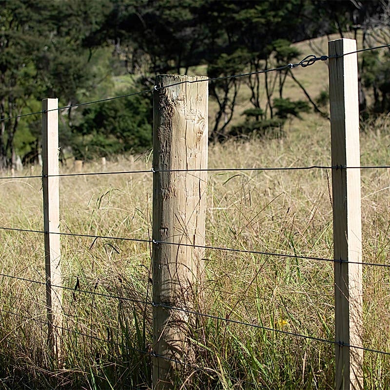 Post and rail Fencing is one of our economic fencing options