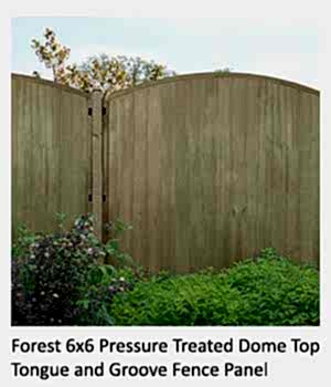 Please click here for further information or to purchase this pressure-treated fence panel Forest 6x6 Pressure Treated Dome Top Tongue and Groove Fence Panel with a bush in the foreground