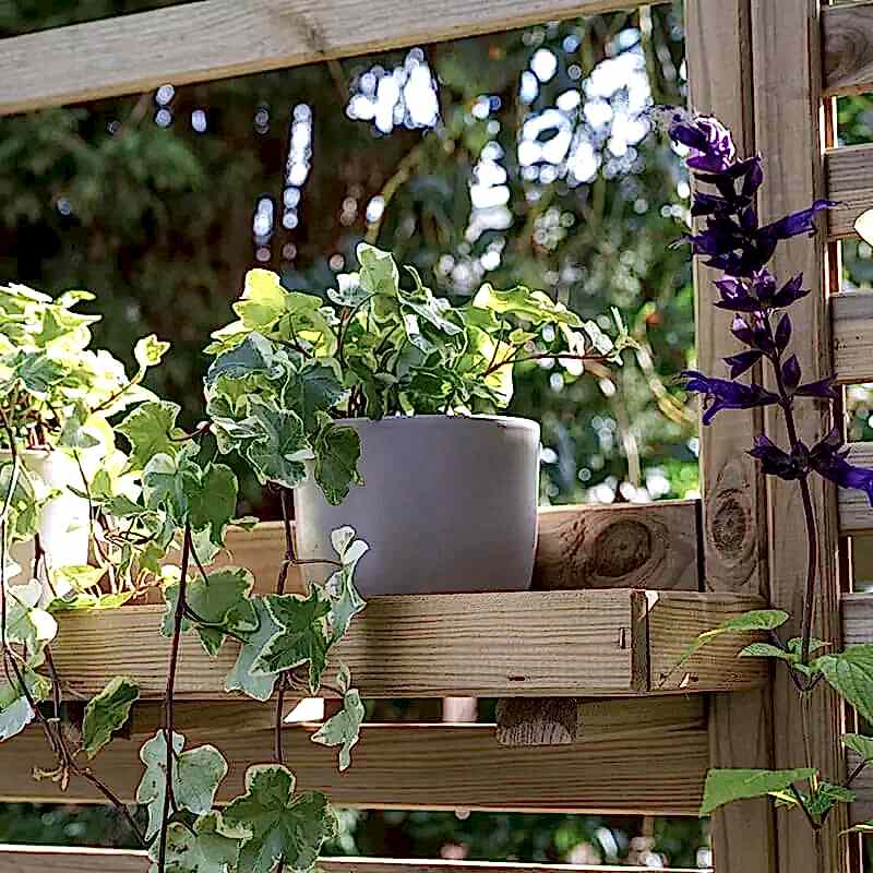 a photo showing one of our vertical garden ideas which include a vertical garden wall , vertical herb garden, vertical vegetable garden and growing your own fruits and vegetables in a fruit and vegetable garden