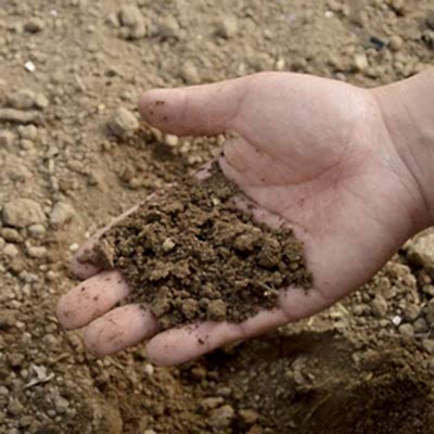 if you're looking at this image and thinking of your fencing foundation then you'll probably also be thinking of the best fence posts, the best concrete fence posts, the best wooden fence posts and the ultimate battle of concrete vs wood fence posts