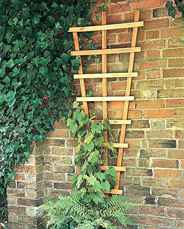 a wooden fan trellis that would be an ideal decorative feature to attach to a wooden fence