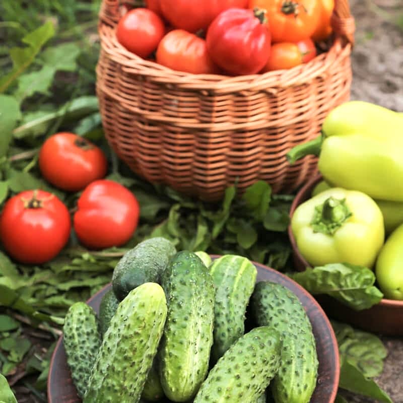 a photo showing one of our vertical garden ideas which include a vertical garden wall , vertical herb garden, vertical vegetable garden and growing your own fruits and vegetables in a fruit and vegetable garden