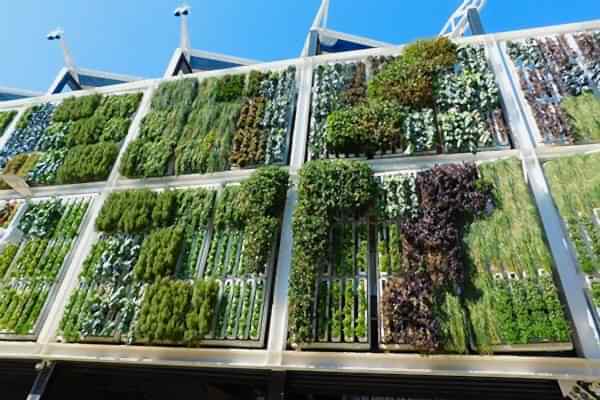 a photo showing a fencing run with some wonderful fence landscaping from our list of simple fence line landscaping ideas including the best plants for fence lines