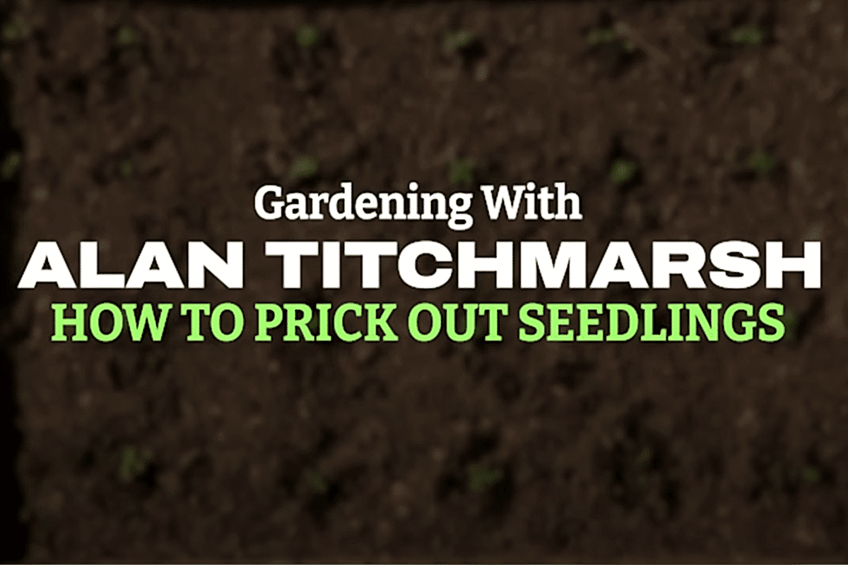 Gardening with Alan Titchmarsh Episode 6 video cover image
