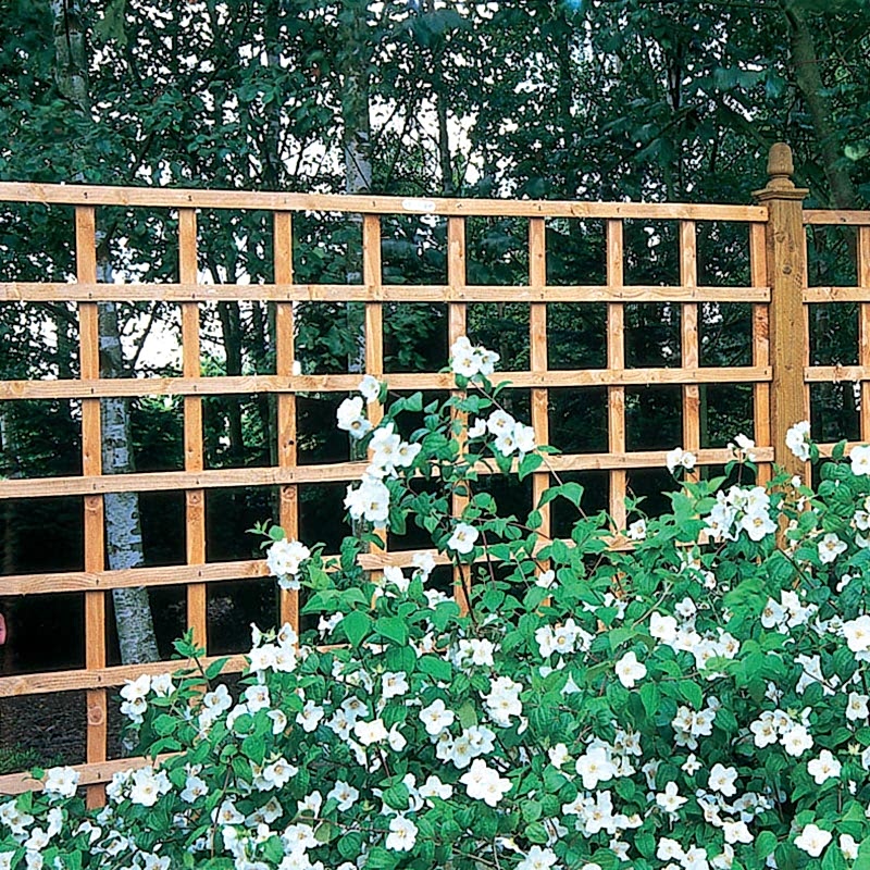 6’x6’ trellis panels 6’x6’ trellis panels
