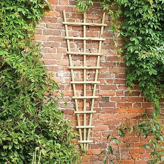 Fan shaped trellis panels Fan shaped trellis panels