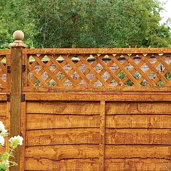 Fence top trellis Fence top trellis