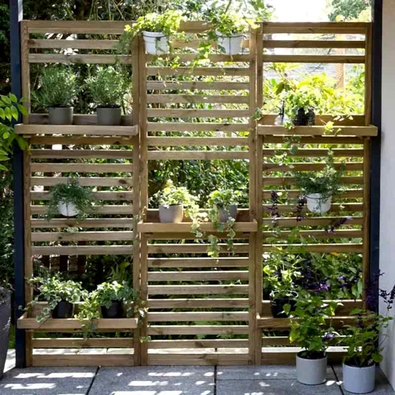 Privacy trellis and vertical gardening Privacy trellis and vertical gardening
