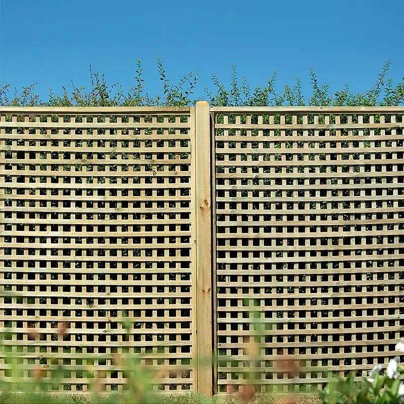 Trellis posts Trellis posts