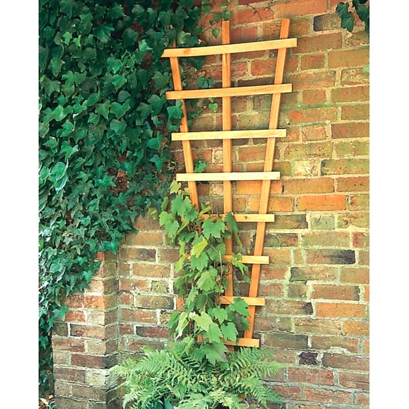Garden wall trellis