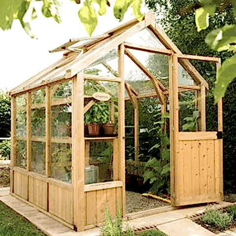 Forest Vale with wooden greenhouse frame Forest Vale with wooden greenhouse frame
