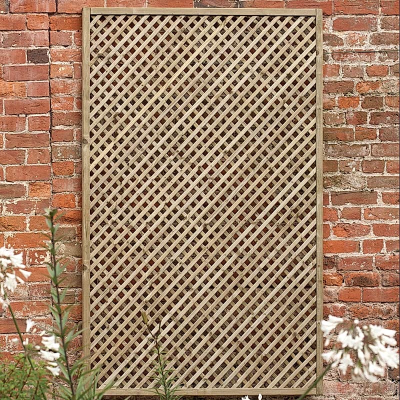 Ivy trellis panels Ivy trellis panels