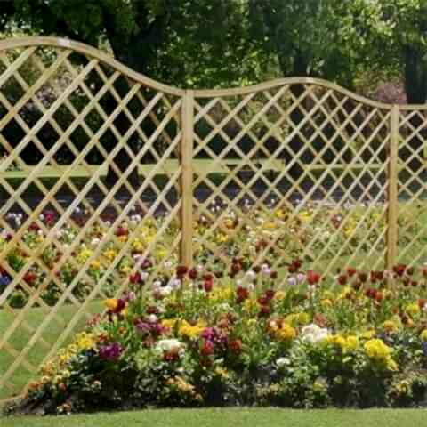 Trellis fencing Trellis fencing