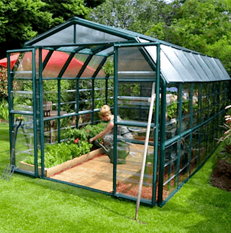 Large expansive green greenhouse Large expansive green greenhouse