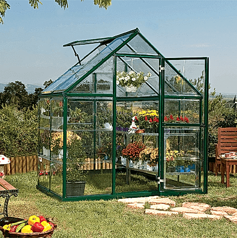 Mid-sized green greenhouse Mid-sized green greenhouse