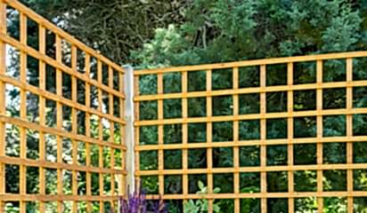 Trellis Buying Guide