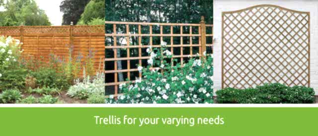 Trellis for your varying needs Trellis for your varying needs