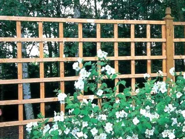 Trellis Panels